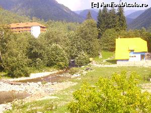 [P02]  -- <small>// FĂRĂ DESCRIERE</small> » foto by Tudor-Cristian
 - 
<span class="allrVoted glyphicon glyphicon-heart hidden" id="av560201"></span>
<a class="m-l-10 hidden" id="sv560201" onclick="voting_Foto_DelVot(,560201,5504)" role="button">șterge vot <span class="glyphicon glyphicon-remove"></span></a>
<a id="v9560201" class=" c-red"  onclick="voting_Foto_SetVot(560201)" role="button"><span class="glyphicon glyphicon-heart-empty"></span> <b>LIKE</b> = Votează poza</a> <img class="hidden"  id="f560201W9" src="/imagini/loader.gif" border="0" /><span class="AjErrMes hidden" id="e560201ErM"></span>