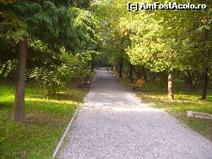 [P20]  -- <small>// FĂRĂ DESCRIERE</small> » foto by Tudor-Cristian
 - 
<span class="allrVoted glyphicon glyphicon-heart hidden" id="av560223"></span>
<a class="m-l-10 hidden" id="sv560223" onclick="voting_Foto_DelVot(,560223,5504)" role="button">șterge vot <span class="glyphicon glyphicon-remove"></span></a>
<a id="v9560223" class=" c-red"  onclick="voting_Foto_SetVot(560223)" role="button"><span class="glyphicon glyphicon-heart-empty"></span> <b>LIKE</b> = Votează poza</a> <img class="hidden"  id="f560223W9" src="/imagini/loader.gif" border="0" /><span class="AjErrMes hidden" id="e560223ErM"></span>