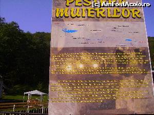 [P22]  -- <small>// FĂRĂ DESCRIERE</small> » foto by Tudor-Cristian
 - 
<span class="allrVoted glyphicon glyphicon-heart hidden" id="av560225"></span>
<a class="m-l-10 hidden" id="sv560225" onclick="voting_Foto_DelVot(,560225,5504)" role="button">șterge vot <span class="glyphicon glyphicon-remove"></span></a>
<a id="v9560225" class=" c-red"  onclick="voting_Foto_SetVot(560225)" role="button"><span class="glyphicon glyphicon-heart-empty"></span> <b>LIKE</b> = Votează poza</a> <img class="hidden"  id="f560225W9" src="/imagini/loader.gif" border="0" /><span class="AjErrMes hidden" id="e560225ErM"></span>