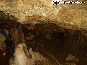 [P23]  -- <small>// FĂRĂ DESCRIERE</small> » foto by Tudor-Cristian
 - 
<span class="allrVoted glyphicon glyphicon-heart hidden" id="av560226"></span>
<a class="m-l-10 hidden" id="sv560226" onclick="voting_Foto_DelVot(,560226,5504)" role="button">șterge vot <span class="glyphicon glyphicon-remove"></span></a>
<a id="v9560226" class=" c-red"  onclick="voting_Foto_SetVot(560226)" role="button"><span class="glyphicon glyphicon-heart-empty"></span> <b>LIKE</b> = Votează poza</a> <img class="hidden"  id="f560226W9" src="/imagini/loader.gif" border="0" /><span class="AjErrMes hidden" id="e560226ErM"></span>