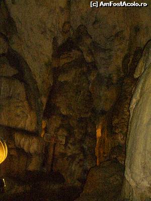 [P26]  -- <small>// FĂRĂ DESCRIERE</small> » foto by Tudor-Cristian
 - 
<span class="allrVoted glyphicon glyphicon-heart hidden" id="av560229"></span>
<a class="m-l-10 hidden" id="sv560229" onclick="voting_Foto_DelVot(,560229,5504)" role="button">șterge vot <span class="glyphicon glyphicon-remove"></span></a>
<a id="v9560229" class=" c-red"  onclick="voting_Foto_SetVot(560229)" role="button"><span class="glyphicon glyphicon-heart-empty"></span> <b>LIKE</b> = Votează poza</a> <img class="hidden"  id="f560229W9" src="/imagini/loader.gif" border="0" /><span class="AjErrMes hidden" id="e560229ErM"></span>