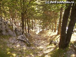 [P28]  -- <small>// FĂRĂ DESCRIERE</small> » foto by Tudor-Cristian
 - 
<span class="allrVoted glyphicon glyphicon-heart hidden" id="av560231"></span>
<a class="m-l-10 hidden" id="sv560231" onclick="voting_Foto_DelVot(,560231,5504)" role="button">șterge vot <span class="glyphicon glyphicon-remove"></span></a>
<a id="v9560231" class=" c-red"  onclick="voting_Foto_SetVot(560231)" role="button"><span class="glyphicon glyphicon-heart-empty"></span> <b>LIKE</b> = Votează poza</a> <img class="hidden"  id="f560231W9" src="/imagini/loader.gif" border="0" /><span class="AjErrMes hidden" id="e560231ErM"></span>