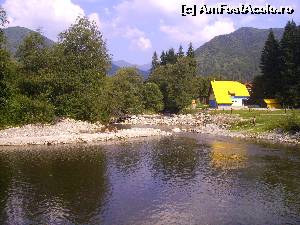 [P03]  -- <small>// FĂRĂ DESCRIERE</small> » foto by Tudor-Cristian
 - 
<span class="allrVoted glyphicon glyphicon-heart hidden" id="av560204"></span>
<a class="m-l-10 hidden" id="sv560204" onclick="voting_Foto_DelVot(,560204,5504)" role="button">șterge vot <span class="glyphicon glyphicon-remove"></span></a>
<a id="v9560204" class=" c-red"  onclick="voting_Foto_SetVot(560204)" role="button"><span class="glyphicon glyphicon-heart-empty"></span> <b>LIKE</b> = Votează poza</a> <img class="hidden"  id="f560204W9" src="/imagini/loader.gif" border="0" /><span class="AjErrMes hidden" id="e560204ErM"></span>