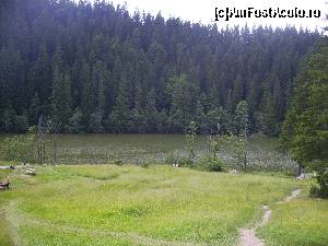 [P03] Coborare spre Lacul Rosu.  » foto by Tudor-Cristian
 - 
<span class="allrVoted glyphicon glyphicon-heart hidden" id="av562763"></span>
<a class="m-l-10 hidden" id="sv562763" onclick="voting_Foto_DelVot(,562763,5504)" role="button">șterge vot <span class="glyphicon glyphicon-remove"></span></a>
<a id="v9562763" class=" c-red"  onclick="voting_Foto_SetVot(562763)" role="button"><span class="glyphicon glyphicon-heart-empty"></span> <b>LIKE</b> = Votează poza</a> <img class="hidden"  id="f562763W9" src="/imagini/loader.gif" border="0" /><span class="AjErrMes hidden" id="e562763ErM"></span>