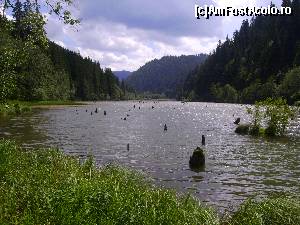 [P04] Lacul Rosu, de la nivelul apei.  » foto by Tudor-Cristian
 - 
<span class="allrVoted glyphicon glyphicon-heart hidden" id="av562764"></span>
<a class="m-l-10 hidden" id="sv562764" onclick="voting_Foto_DelVot(,562764,5504)" role="button">șterge vot <span class="glyphicon glyphicon-remove"></span></a>
<a id="v9562764" class=" c-red"  onclick="voting_Foto_SetVot(562764)" role="button"><span class="glyphicon glyphicon-heart-empty"></span> <b>LIKE</b> = Votează poza</a> <img class="hidden"  id="f562764W9" src="/imagini/loader.gif" border="0" /><span class="AjErrMes hidden" id="e562764ErM"></span>