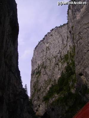 [P06] Pe cheile Bicazului.  » foto by Tudor-Cristian
 - 
<span class="allrVoted glyphicon glyphicon-heart hidden" id="av562766"></span>
<a class="m-l-10 hidden" id="sv562766" onclick="voting_Foto_DelVot(,562766,5504)" role="button">șterge vot <span class="glyphicon glyphicon-remove"></span></a>
<a id="v9562766" class=" c-red"  onclick="voting_Foto_SetVot(562766)" role="button"><span class="glyphicon glyphicon-heart-empty"></span> <b>LIKE</b> = Votează poza</a> <img class="hidden"  id="f562766W9" src="/imagini/loader.gif" border="0" /><span class="AjErrMes hidden" id="e562766ErM"></span>