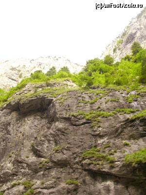 [P07] Pe cheile Bicazului, privind in sus.  » foto by Tudor-Cristian
 - 
<span class="allrVoted glyphicon glyphicon-heart hidden" id="av562767"></span>
<a class="m-l-10 hidden" id="sv562767" onclick="voting_Foto_DelVot(,562767,5504)" role="button">șterge vot <span class="glyphicon glyphicon-remove"></span></a>
<a id="v9562767" class=" c-red"  onclick="voting_Foto_SetVot(562767)" role="button"><span class="glyphicon glyphicon-heart-empty"></span> <b>LIKE</b> = Votează poza</a> <img class="hidden"  id="f562767W9" src="/imagini/loader.gif" border="0" /><span class="AjErrMes hidden" id="e562767ErM"></span>