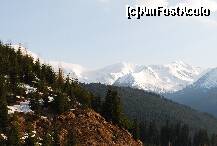 [P17]  -- <small>// FĂRĂ DESCRIERE</small> » foto by gregorio
 - 
<span class="allrVoted glyphicon glyphicon-heart hidden" id="av168403"></span>
<a class="m-l-10 hidden" id="sv168403" onclick="voting_Foto_DelVot(,168403,5504)" role="button">șterge vot <span class="glyphicon glyphicon-remove"></span></a>
<a id="v9168403" class=" c-red"  onclick="voting_Foto_SetVot(168403)" role="button"><span class="glyphicon glyphicon-heart-empty"></span> <b>LIKE</b> = Votează poza</a> <img class="hidden"  id="f168403W9" src="/imagini/loader.gif" border="0" /><span class="AjErrMes hidden" id="e168403ErM"></span>