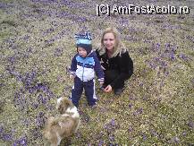 [P11]  -- <small>// FĂRĂ DESCRIERE</small> » foto by Alina Morar
 - 
<span class="allrVoted glyphicon glyphicon-heart hidden" id="av79051"></span>
<a class="m-l-10 hidden" id="sv79051" onclick="voting_Foto_DelVot(,79051,5517)" role="button">șterge vot <span class="glyphicon glyphicon-remove"></span></a>
<a id="v979051" class=" c-red"  onclick="voting_Foto_SetVot(79051)" role="button"><span class="glyphicon glyphicon-heart-empty"></span> <b>LIKE</b> = Votează poza</a> <img class="hidden"  id="f79051W9" src="/imagini/loader.gif" border="0" /><span class="AjErrMes hidden" id="e79051ErM"></span>