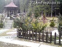 [P14] curtea schitului » foto by Alina Morar
 - 
<span class="allrVoted glyphicon glyphicon-heart hidden" id="av79054"></span>
<a class="m-l-10 hidden" id="sv79054" onclick="voting_Foto_DelVot(,79054,5517)" role="button">șterge vot <span class="glyphicon glyphicon-remove"></span></a>
<a id="v979054" class=" c-red"  onclick="voting_Foto_SetVot(79054)" role="button"><span class="glyphicon glyphicon-heart-empty"></span> <b>LIKE</b> = Votează poza</a> <img class="hidden"  id="f79054W9" src="/imagini/loader.gif" border="0" /><span class="AjErrMes hidden" id="e79054ErM"></span>