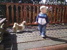 [P04]  -- <small>// FĂRĂ DESCRIERE</small> » foto by Alina Morar
 - 
<span class="allrVoted glyphicon glyphicon-heart hidden" id="av79044"></span>
<a class="m-l-10 hidden" id="sv79044" onclick="voting_Foto_DelVot(,79044,5517)" role="button">șterge vot <span class="glyphicon glyphicon-remove"></span></a>
<a id="v979044" class=" c-red"  onclick="voting_Foto_SetVot(79044)" role="button"><span class="glyphicon glyphicon-heart-empty"></span> <b>LIKE</b> = Votează poza</a> <img class="hidden"  id="f79044W9" src="/imagini/loader.gif" border="0" /><span class="AjErrMes hidden" id="e79044ErM"></span>