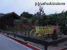 [P24] O caruta cu flori de piatra amplasata in gradina cu trandafiri » foto by dananecula*
 - 
<span class="allrVoted glyphicon glyphicon-heart hidden" id="av160008"></span>
<a class="m-l-10 hidden" id="sv160008" onclick="voting_Foto_DelVot(,160008,5534)" role="button">șterge vot <span class="glyphicon glyphicon-remove"></span></a>
<a id="v9160008" class=" c-red"  onclick="voting_Foto_SetVot(160008)" role="button"><span class="glyphicon glyphicon-heart-empty"></span> <b>LIKE</b> = Votează poza</a> <img class="hidden"  id="f160008W9" src="/imagini/loader.gif" border="0" /><span class="AjErrMes hidden" id="e160008ErM"></span>