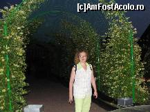 [P27]  -- <small>// FĂRĂ DESCRIERE</small> » foto by dananecula*
 - 
<span class="allrVoted glyphicon glyphicon-heart hidden" id="av160014"></span>
<a class="m-l-10 hidden" id="sv160014" onclick="voting_Foto_DelVot(,160014,5534)" role="button">șterge vot <span class="glyphicon glyphicon-remove"></span></a>
<a id="v9160014" class=" c-red"  onclick="voting_Foto_SetVot(160014)" role="button"><span class="glyphicon glyphicon-heart-empty"></span> <b>LIKE</b> = Votează poza</a> <img class="hidden"  id="f160014W9" src="/imagini/loader.gif" border="0" /><span class="AjErrMes hidden" id="e160014ErM"></span>