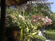 [P17] paradise » foto by mgetutza2007
 - 
<span class="allrVoted glyphicon glyphicon-heart hidden" id="av289015"></span>
<a class="m-l-10 hidden" id="sv289015" onclick="voting_Foto_DelVot(,289015,5574)" role="button">șterge vot <span class="glyphicon glyphicon-remove"></span></a>
<a id="v9289015" class=" c-red"  onclick="voting_Foto_SetVot(289015)" role="button"><span class="glyphicon glyphicon-heart-empty"></span> <b>LIKE</b> = Votează poza</a> <img class="hidden"  id="f289015W9" src="/imagini/loader.gif" border="0" /><span class="AjErrMes hidden" id="e289015ErM"></span>