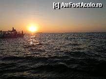 [P19] dolphins safari » foto by mgetutza2007
 - 
<span class="allrVoted glyphicon glyphicon-heart hidden" id="av289017"></span>
<a class="m-l-10 hidden" id="sv289017" onclick="voting_Foto_DelVot(,289017,5574)" role="button">șterge vot <span class="glyphicon glyphicon-remove"></span></a>
<a id="v9289017" class=" c-red"  onclick="voting_Foto_SetVot(289017)" role="button"><span class="glyphicon glyphicon-heart-empty"></span> <b>LIKE</b> = Votează poza</a> <img class="hidden"  id="f289017W9" src="/imagini/loader.gif" border="0" /><span class="AjErrMes hidden" id="e289017ErM"></span>