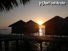 [P03] sunrise » foto by mgetutza2007
 - 
<span class="allrVoted glyphicon glyphicon-heart hidden" id="av289001"></span>
<a class="m-l-10 hidden" id="sv289001" onclick="voting_Foto_DelVot(,289001,5574)" role="button">șterge vot <span class="glyphicon glyphicon-remove"></span></a>
<a id="v9289001" class=" c-red"  onclick="voting_Foto_SetVot(289001)" role="button"><span class="glyphicon glyphicon-heart-empty"></span> <b>LIKE</b> = Votează poza</a> <img class="hidden"  id="f289001W9" src="/imagini/loader.gif" border="0" /><span class="AjErrMes hidden" id="e289001ErM"></span>