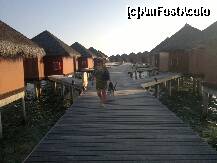 [P08] water bungalows » foto by mgetutza2007
 - 
<span class="allrVoted glyphicon glyphicon-heart hidden" id="av289006"></span>
<a class="m-l-10 hidden" id="sv289006" onclick="voting_Foto_DelVot(,289006,5574)" role="button">șterge vot <span class="glyphicon glyphicon-remove"></span></a>
<a id="v9289006" class=" c-red"  onclick="voting_Foto_SetVot(289006)" role="button"><span class="glyphicon glyphicon-heart-empty"></span> <b>LIKE</b> = Votează poza</a> <img class="hidden"  id="f289006W9" src="/imagini/loader.gif" border="0" /><span class="AjErrMes hidden" id="e289006ErM"></span>