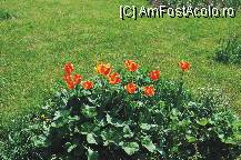 [P13]  -- <small>// FĂRĂ DESCRIERE</small> » foto by deliutza27
 - 
<span class="allrVoted glyphicon glyphicon-heart hidden" id="av68145"></span>
<a class="m-l-10 hidden" id="sv68145" onclick="voting_Foto_DelVot(,68145,5575)" role="button">șterge vot <span class="glyphicon glyphicon-remove"></span></a>
<a id="v968145" class=" c-red"  onclick="voting_Foto_SetVot(68145)" role="button"><span class="glyphicon glyphicon-heart-empty"></span> <b>LIKE</b> = Votează poza</a> <img class="hidden"  id="f68145W9" src="/imagini/loader.gif" border="0" /><span class="AjErrMes hidden" id="e68145ErM"></span>