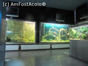 [P18] Aquariul » foto by Michi
 - 
<span class="allrVoted glyphicon glyphicon-heart hidden" id="av1016171"></span>
<a class="m-l-10 hidden" id="sv1016171" onclick="voting_Foto_DelVot(,1016171,5575)" role="button">șterge vot <span class="glyphicon glyphicon-remove"></span></a>
<a id="v91016171" class=" c-red"  onclick="voting_Foto_SetVot(1016171)" role="button"><span class="glyphicon glyphicon-heart-empty"></span> <b>LIKE</b> = Votează poza</a> <img class="hidden"  id="f1016171W9" src="/imagini/loader.gif" border="0" /><span class="AjErrMes hidden" id="e1016171ErM"></span>