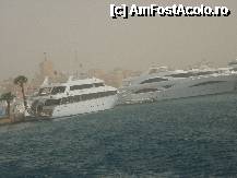 [P19] cea ce vedeti nu este ceata, ci urmarile furtunii de nisip de noaptea trecuta » foto by kati
 - 
<span class="allrVoted glyphicon glyphicon-heart hidden" id="av217627"></span>
<a class="m-l-10 hidden" id="sv217627" onclick="voting_Foto_DelVot(,217627,5594)" role="button">șterge vot <span class="glyphicon glyphicon-remove"></span></a>
<a id="v9217627" class=" c-red"  onclick="voting_Foto_SetVot(217627)" role="button"><span class="glyphicon glyphicon-heart-empty"></span> <b>LIKE</b> = Votează poza</a> <img class="hidden"  id="f217627W9" src="/imagini/loader.gif" border="0" /><span class="AjErrMes hidden" id="e217627ErM"></span>