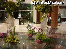 [P23] aranjament frolal in holul hotelului » foto by kati
 - 
<span class="allrVoted glyphicon glyphicon-heart hidden" id="av217632"></span>
<a class="m-l-10 hidden" id="sv217632" onclick="voting_Foto_DelVot(,217632,5594)" role="button">șterge vot <span class="glyphicon glyphicon-remove"></span></a>
<a id="v9217632" class=" c-red"  onclick="voting_Foto_SetVot(217632)" role="button"><span class="glyphicon glyphicon-heart-empty"></span> <b>LIKE</b> = Votează poza</a> <img class="hidden"  id="f217632W9" src="/imagini/loader.gif" border="0" /><span class="AjErrMes hidden" id="e217632ErM"></span>