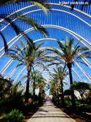 [P45] City of Arts & Science - Umbracle » foto by Ammelie
 - 
<span class="allrVoted glyphicon glyphicon-heart hidden" id="av570296"></span>
<a class="m-l-10 hidden" id="sv570296" onclick="voting_Foto_DelVot(,570296,5604)" role="button">șterge vot <span class="glyphicon glyphicon-remove"></span></a>
<a id="v9570296" class=" c-red"  onclick="voting_Foto_SetVot(570296)" role="button"><span class="glyphicon glyphicon-heart-empty"></span> <b>LIKE</b> = Votează poza</a> <img class="hidden"  id="f570296W9" src="/imagini/loader.gif" border="0" /><span class="AjErrMes hidden" id="e570296ErM"></span>