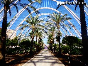 [P46] City of Arts & Science - Umbracle » foto by Ammelie
 - 
<span class="allrVoted glyphicon glyphicon-heart hidden" id="av570297"></span>
<a class="m-l-10 hidden" id="sv570297" onclick="voting_Foto_DelVot(,570297,5604)" role="button">șterge vot <span class="glyphicon glyphicon-remove"></span></a>
<a id="v9570297" class=" c-red"  onclick="voting_Foto_SetVot(570297)" role="button"><span class="glyphicon glyphicon-heart-empty"></span> <b>LIKE</b> = Votează poza</a> <img class="hidden"  id="f570297W9" src="/imagini/loader.gif" border="0" /><span class="AjErrMes hidden" id="e570297ErM"></span>