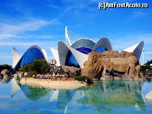 [P53] Oceanografic » foto by Ammelie
 - 
<span class="allrVoted glyphicon glyphicon-heart hidden" id="av570306"></span>
<a class="m-l-10 hidden" id="sv570306" onclick="voting_Foto_DelVot(,570306,5604)" role="button">șterge vot <span class="glyphicon glyphicon-remove"></span></a>
<a id="v9570306" class=" c-red"  onclick="voting_Foto_SetVot(570306)" role="button"><span class="glyphicon glyphicon-heart-empty"></span> <b>LIKE</b> = Votează poza</a> <img class="hidden"  id="f570306W9" src="/imagini/loader.gif" border="0" /><span class="AjErrMes hidden" id="e570306ErM"></span>