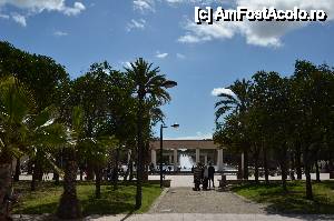[P01] Jardines del Turia » foto by Muffin2009*
 - 
<span class="allrVoted glyphicon glyphicon-heart hidden" id="av421501"></span>
<a class="m-l-10 hidden" id="sv421501" onclick="voting_Foto_DelVot(,421501,5604)" role="button">șterge vot <span class="glyphicon glyphicon-remove"></span></a>
<a id="v9421501" class=" c-red"  onclick="voting_Foto_SetVot(421501)" role="button"><span class="glyphicon glyphicon-heart-empty"></span> <b>LIKE</b> = Votează poza</a> <img class="hidden"  id="f421501W9" src="/imagini/loader.gif" border="0" /><span class="AjErrMes hidden" id="e421501ErM"></span>