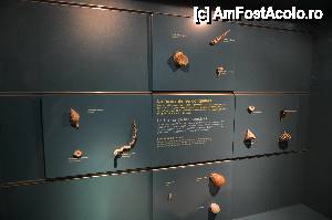 [P19] Museo de Ciencias Naturales, scoici ceva mai mici » foto by Muffin2009*
 - 
<span class="allrVoted glyphicon glyphicon-heart hidden" id="av421527"></span>
<a class="m-l-10 hidden" id="sv421527" onclick="voting_Foto_DelVot(,421527,5604)" role="button">șterge vot <span class="glyphicon glyphicon-remove"></span></a>
<a id="v9421527" class=" c-red"  onclick="voting_Foto_SetVot(421527)" role="button"><span class="glyphicon glyphicon-heart-empty"></span> <b>LIKE</b> = Votează poza</a> <img class="hidden"  id="f421527W9" src="/imagini/loader.gif" border="0" /><span class="AjErrMes hidden" id="e421527ErM"></span>