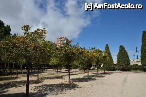 [P02] Jardines del Turia » foto by Muffin2009*
 - 
<span class="allrVoted glyphicon glyphicon-heart hidden" id="av421504"></span>
<a class="m-l-10 hidden" id="sv421504" onclick="voting_Foto_DelVot(,421504,5604)" role="button">șterge vot <span class="glyphicon glyphicon-remove"></span></a>
<a id="v9421504" class=" c-red"  onclick="voting_Foto_SetVot(421504)" role="button"><span class="glyphicon glyphicon-heart-empty"></span> <b>LIKE</b> = Votează poza</a> <img class="hidden"  id="f421504W9" src="/imagini/loader.gif" border="0" /><span class="AjErrMes hidden" id="e421504ErM"></span>