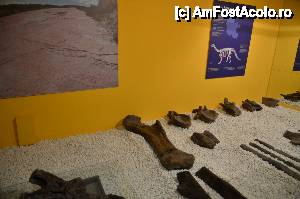 [P20] Museo de Ciencias Naturales » foto by Muffin2009*
 - 
<span class="allrVoted glyphicon glyphicon-heart hidden" id="av421528"></span>
<a class="m-l-10 hidden" id="sv421528" onclick="voting_Foto_DelVot(,421528,5604)" role="button">șterge vot <span class="glyphicon glyphicon-remove"></span></a>
<a id="v9421528" class=" c-red"  onclick="voting_Foto_SetVot(421528)" role="button"><span class="glyphicon glyphicon-heart-empty"></span> <b>LIKE</b> = Votează poza</a> <img class="hidden"  id="f421528W9" src="/imagini/loader.gif" border="0" /><span class="AjErrMes hidden" id="e421528ErM"></span>