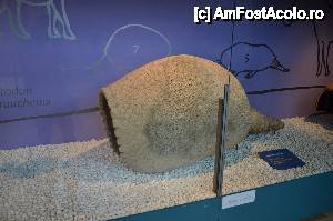 [P25] Museo de Ciencias Naturales » foto by Muffin2009*
 - 
<span class="allrVoted glyphicon glyphicon-heart hidden" id="av421533"></span>
<a class="m-l-10 hidden" id="sv421533" onclick="voting_Foto_DelVot(,421533,5604)" role="button">șterge vot <span class="glyphicon glyphicon-remove"></span></a>
<a id="v9421533" class=" c-red"  onclick="voting_Foto_SetVot(421533)" role="button"><span class="glyphicon glyphicon-heart-empty"></span> <b>LIKE</b> = Votează poza</a> <img class="hidden"  id="f421533W9" src="/imagini/loader.gif" border="0" /><span class="AjErrMes hidden" id="e421533ErM"></span>