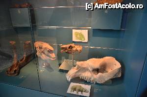 [P28] Museo de Ciencias Naturales » foto by Muffin2009*
 - 
<span class="allrVoted glyphicon glyphicon-heart hidden" id="av421536"></span>
<a class="m-l-10 hidden" id="sv421536" onclick="voting_Foto_DelVot(,421536,5604)" role="button">șterge vot <span class="glyphicon glyphicon-remove"></span></a>
<a id="v9421536" class=" c-red"  onclick="voting_Foto_SetVot(421536)" role="button"><span class="glyphicon glyphicon-heart-empty"></span> <b>LIKE</b> = Votează poza</a> <img class="hidden"  id="f421536W9" src="/imagini/loader.gif" border="0" /><span class="AjErrMes hidden" id="e421536ErM"></span>