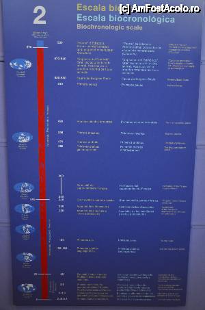 [P32] Museo de Ciencias Naturales » foto by Muffin2009*
 - 
<span class="allrVoted glyphicon glyphicon-heart hidden" id="av421540"></span>
<a class="m-l-10 hidden" id="sv421540" onclick="voting_Foto_DelVot(,421540,5604)" role="button">șterge vot <span class="glyphicon glyphicon-remove"></span></a>
<a id="v9421540" class=" c-red"  onclick="voting_Foto_SetVot(421540)" role="button"><span class="glyphicon glyphicon-heart-empty"></span> <b>LIKE</b> = Votează poza</a> <img class="hidden"  id="f421540W9" src="/imagini/loader.gif" border="0" /><span class="AjErrMes hidden" id="e421540ErM"></span>