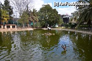 [P39] Jardines del Real » foto by Muffin2009*
 - 
<span class="allrVoted glyphicon glyphicon-heart hidden" id="av421547"></span>
<a class="m-l-10 hidden" id="sv421547" onclick="voting_Foto_DelVot(,421547,5604)" role="button">șterge vot <span class="glyphicon glyphicon-remove"></span></a>
<a id="v9421547" class=" c-red"  onclick="voting_Foto_SetVot(421547)" role="button"><span class="glyphicon glyphicon-heart-empty"></span> <b>LIKE</b> = Votează poza</a> <img class="hidden"  id="f421547W9" src="/imagini/loader.gif" border="0" /><span class="AjErrMes hidden" id="e421547ErM"></span>
