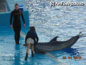 [P38] si inca una cu delfin :)  » foto by Denisa13
 - 
<span class="allrVoted glyphicon glyphicon-heart hidden" id="av512171"></span>
<a class="m-l-10 hidden" id="sv512171" onclick="voting_Foto_DelVot(,512171,5604)" role="button">șterge vot <span class="glyphicon glyphicon-remove"></span></a>
<a id="v9512171" class=" c-red"  onclick="voting_Foto_SetVot(512171)" role="button"><span class="glyphicon glyphicon-heart-empty"></span> <b>LIKE</b> = Votează poza</a> <img class="hidden"  id="f512171W9" src="/imagini/loader.gif" border="0" /><span class="AjErrMes hidden" id="e512171ErM"></span>