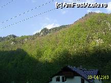 [P01] imaginea cu care te trezesti dimineata :) » foto by petrus95
 - 
<span class="allrVoted glyphicon glyphicon-heart hidden" id="av70607"></span>
<a class="m-l-10 hidden" id="sv70607" onclick="voting_Foto_DelVot(,70607,5657)" role="button">șterge vot <span class="glyphicon glyphicon-remove"></span></a>
<a id="v970607" class=" c-red"  onclick="voting_Foto_SetVot(70607)" role="button"><span class="glyphicon glyphicon-heart-empty"></span> <b>LIKE</b> = Votează poza</a> <img class="hidden"  id="f70607W9" src="/imagini/loader.gif" border="0" /><span class="AjErrMes hidden" id="e70607ErM"></span>