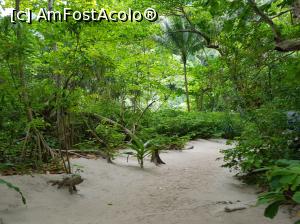 [P21]  -- <small>// FĂRĂ DESCRIERE</small> » foto by Roxie
 - 
<span class="allrVoted glyphicon glyphicon-heart hidden" id="av938807"></span>
<a class="m-l-10 hidden" id="sv938807" onclick="voting_Foto_DelVot(,938807,5678)" role="button">șterge vot <span class="glyphicon glyphicon-remove"></span></a>
<a id="v9938807" class=" c-red"  onclick="voting_Foto_SetVot(938807)" role="button"><span class="glyphicon glyphicon-heart-empty"></span> <b>LIKE</b> = Votează poza</a> <img class="hidden"  id="f938807W9" src="/imagini/loader.gif" border="0" /><span class="AjErrMes hidden" id="e938807ErM"></span>