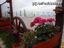 [P07] Mamaia - Terasa Maria, flori in decor rustic la malul marii. » foto by iulianic
 - 
<span class="allrVoted glyphicon glyphicon-heart hidden" id="av323594"></span>
<a class="m-l-10 hidden" id="sv323594" onclick="voting_Foto_DelVot(,323594,5688)" role="button">șterge vot <span class="glyphicon glyphicon-remove"></span></a>
<a id="v9323594" class=" c-red"  onclick="voting_Foto_SetVot(323594)" role="button"><span class="glyphicon glyphicon-heart-empty"></span> <b>LIKE</b> = Votează poza</a> <img class="hidden"  id="f323594W9" src="/imagini/loader.gif" border="0" /><span class="AjErrMes hidden" id="e323594ErM"></span>