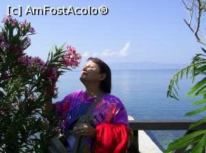 [P01] Circuit Grecia 2006 - Leandrii de la Ouranopolis.  » foto by iulianic
 - 
<span class="allrVoted glyphicon glyphicon-heart hidden" id="av730161"></span>
<a class="m-l-10 hidden" id="sv730161" onclick="voting_Foto_DelVot(,730161,5760)" role="button">șterge vot <span class="glyphicon glyphicon-remove"></span></a>
<a id="v9730161" class=" c-red"  onclick="voting_Foto_SetVot(730161)" role="button"><span class="glyphicon glyphicon-heart-empty"></span> <b>LIKE</b> = Votează poza</a> <img class="hidden"  id="f730161W9" src="/imagini/loader.gif" border="0" /><span class="AjErrMes hidden" id="e730161ErM"></span>