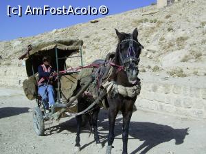 [P09] Circuit Israel-Iordania 2006 - Mijloc de transport la Petra.  » foto by iulianic
 - 
<span class="allrVoted glyphicon glyphicon-heart hidden" id="av730169"></span>
<a class="m-l-10 hidden" id="sv730169" onclick="voting_Foto_DelVot(,730169,5760)" role="button">șterge vot <span class="glyphicon glyphicon-remove"></span></a>
<a id="v9730169" class=" c-red"  onclick="voting_Foto_SetVot(730169)" role="button"><span class="glyphicon glyphicon-heart-empty"></span> <b>LIKE</b> = Votează poza</a> <img class="hidden"  id="f730169W9" src="/imagini/loader.gif" border="0" /><span class="AjErrMes hidden" id="e730169ErM"></span>