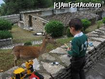 [P03] In Thasos - avem musafiri la masa » foto by vini
 - 
<span class="allrVoted glyphicon glyphicon-heart hidden" id="av147459"></span>
<a class="m-l-10 hidden" id="sv147459" onclick="voting_Foto_DelVot(,147459,5760)" role="button">șterge vot <span class="glyphicon glyphicon-remove"></span></a>
<a id="v9147459" class=" c-red"  onclick="voting_Foto_SetVot(147459)" role="button"><span class="glyphicon glyphicon-heart-empty"></span> <b>LIKE</b> = Votează poza</a> <img class="hidden"  id="f147459W9" src="/imagini/loader.gif" border="0" /><span class="AjErrMes hidden" id="e147459ErM"></span>