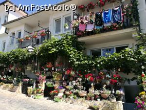 [P08] Pe străduțele orașului vechi » foto by crismis
 - 
<span class="allrVoted glyphicon glyphicon-heart hidden" id="av885755"></span>
<a class="m-l-10 hidden" id="sv885755" onclick="voting_Foto_DelVot(,885755,5763)" role="button">șterge vot <span class="glyphicon glyphicon-remove"></span></a>
<a id="v9885755" class=" c-red"  onclick="voting_Foto_SetVot(885755)" role="button"><span class="glyphicon glyphicon-heart-empty"></span> <b>LIKE</b> = Votează poza</a> <img class="hidden"  id="f885755W9" src="/imagini/loader.gif" border="0" /><span class="AjErrMes hidden" id="e885755ErM"></span>