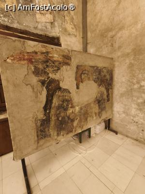 [P27] Fresca » foto by fredutza
 - 
<span class="allrVoted glyphicon glyphicon-heart hidden" id="av1497996"></span>
<a class="m-l-10 hidden" id="sv1497996" onclick="voting_Foto_DelVot(,1497996,5763)" role="button">șterge vot <span class="glyphicon glyphicon-remove"></span></a>
<a id="v91497996" class=" c-red"  onclick="voting_Foto_SetVot(1497996)" role="button"><span class="glyphicon glyphicon-heart-empty"></span> <b>LIKE</b> = Votează poza</a> <img class="hidden"  id="f1497996W9" src="/imagini/loader.gif" border="0" /><span class="AjErrMes hidden" id="e1497996ErM"></span>