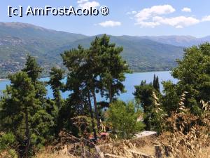 [P08] Vedere spre lac » foto by fredutza
 - 
<span class="allrVoted glyphicon glyphicon-heart hidden" id="av1497977"></span>
<a class="m-l-10 hidden" id="sv1497977" onclick="voting_Foto_DelVot(,1497977,5763)" role="button">șterge vot <span class="glyphicon glyphicon-remove"></span></a>
<a id="v91497977" class=" c-red"  onclick="voting_Foto_SetVot(1497977)" role="button"><span class="glyphicon glyphicon-heart-empty"></span> <b>LIKE</b> = Votează poza</a> <img class="hidden"  id="f1497977W9" src="/imagini/loader.gif" border="0" /><span class="AjErrMes hidden" id="e1497977ErM"></span>