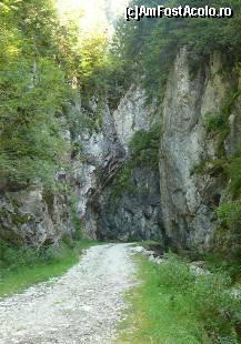 [P21] Deja suntem pe drumul forestier, in chei. » foto by Claudiu U.
 - 
<span class="allrVoted glyphicon glyphicon-heart hidden" id="av121902"></span>
<a class="m-l-10 hidden" id="sv121902" onclick="voting_Foto_DelVot(,121902,5764)" role="button">șterge vot <span class="glyphicon glyphicon-remove"></span></a>
<a id="v9121902" class=" c-red"  onclick="voting_Foto_SetVot(121902)" role="button"><span class="glyphicon glyphicon-heart-empty"></span> <b>LIKE</b> = Votează poza</a> <img class="hidden"  id="f121902W9" src="/imagini/loader.gif" border="0" /><span class="AjErrMes hidden" id="e121902ErM"></span>