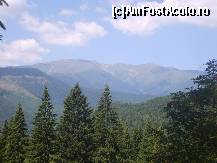 [P15] Vedere din Piatra Craiului. » foto by IUBONI
 - 
<span class="allrVoted glyphicon glyphicon-heart hidden" id="av93243"></span>
<a class="m-l-10 hidden" id="sv93243" onclick="voting_Foto_DelVot(,93243,5764)" role="button">șterge vot <span class="glyphicon glyphicon-remove"></span></a>
<a id="v993243" class=" c-red"  onclick="voting_Foto_SetVot(93243)" role="button"><span class="glyphicon glyphicon-heart-empty"></span> <b>LIKE</b> = Votează poza</a> <img class="hidden"  id="f93243W9" src="/imagini/loader.gif" border="0" /><span class="AjErrMes hidden" id="e93243ErM"></span>