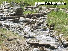 [P17] Oare de vina este natura? Mie nu-mi vine sa cred... » foto by IUBONI
 - 
<span class="allrVoted glyphicon glyphicon-heart hidden" id="av93246"></span>
<a class="m-l-10 hidden" id="sv93246" onclick="voting_Foto_DelVot(,93246,5764)" role="button">șterge vot <span class="glyphicon glyphicon-remove"></span></a>
<a id="v993246" class=" c-red"  onclick="voting_Foto_SetVot(93246)" role="button"><span class="glyphicon glyphicon-heart-empty"></span> <b>LIKE</b> = Votează poza</a> <img class="hidden"  id="f93246W9" src="/imagini/loader.gif" border="0" /><span class="AjErrMes hidden" id="e93246ErM"></span>