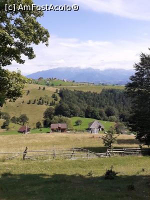 [P01] satul MĂGURA » foto by robert
 - 
<span class="allrVoted glyphicon glyphicon-heart hidden" id="av1183098"></span>
<a class="m-l-10 hidden" id="sv1183098" onclick="voting_Foto_DelVot(,1183098,5764)" role="button">șterge vot <span class="glyphicon glyphicon-remove"></span></a>
<a id="v91183098" class=" c-red"  onclick="voting_Foto_SetVot(1183098)" role="button"><span class="glyphicon glyphicon-heart-empty"></span> <b>LIKE</b> = Votează poza</a> <img class="hidden"  id="f1183098W9" src="/imagini/loader.gif" border="0" /><span class="AjErrMes hidden" id="e1183098ErM"></span>